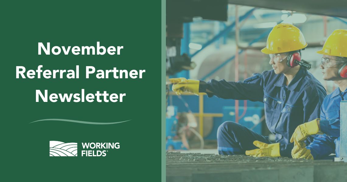 November newsletter for partners